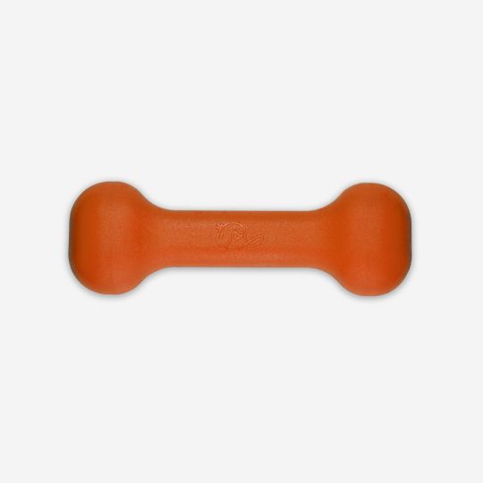 The Perfect Little Bone - Safety Orange